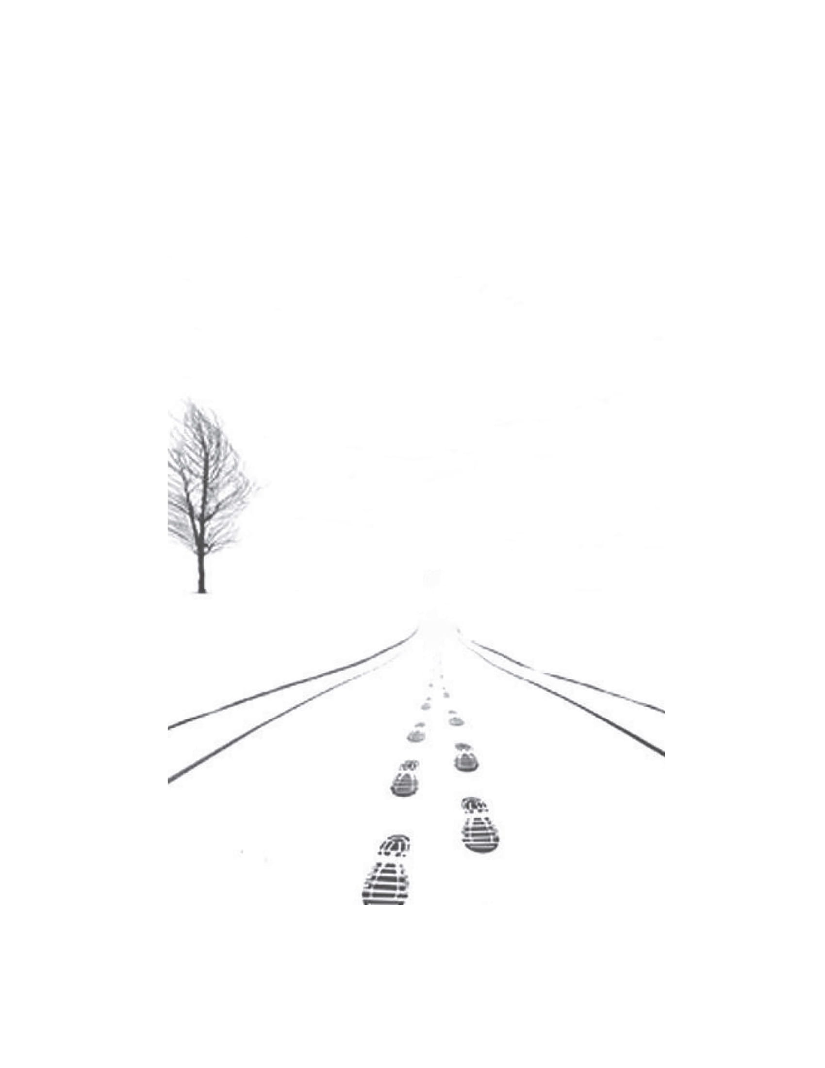 Con Đường Ý Thức - Hành Trình Khai Phá Bản Ngã - Từ Giác Ngộ Đến Tự Do Nội Tại - Ảnh 4