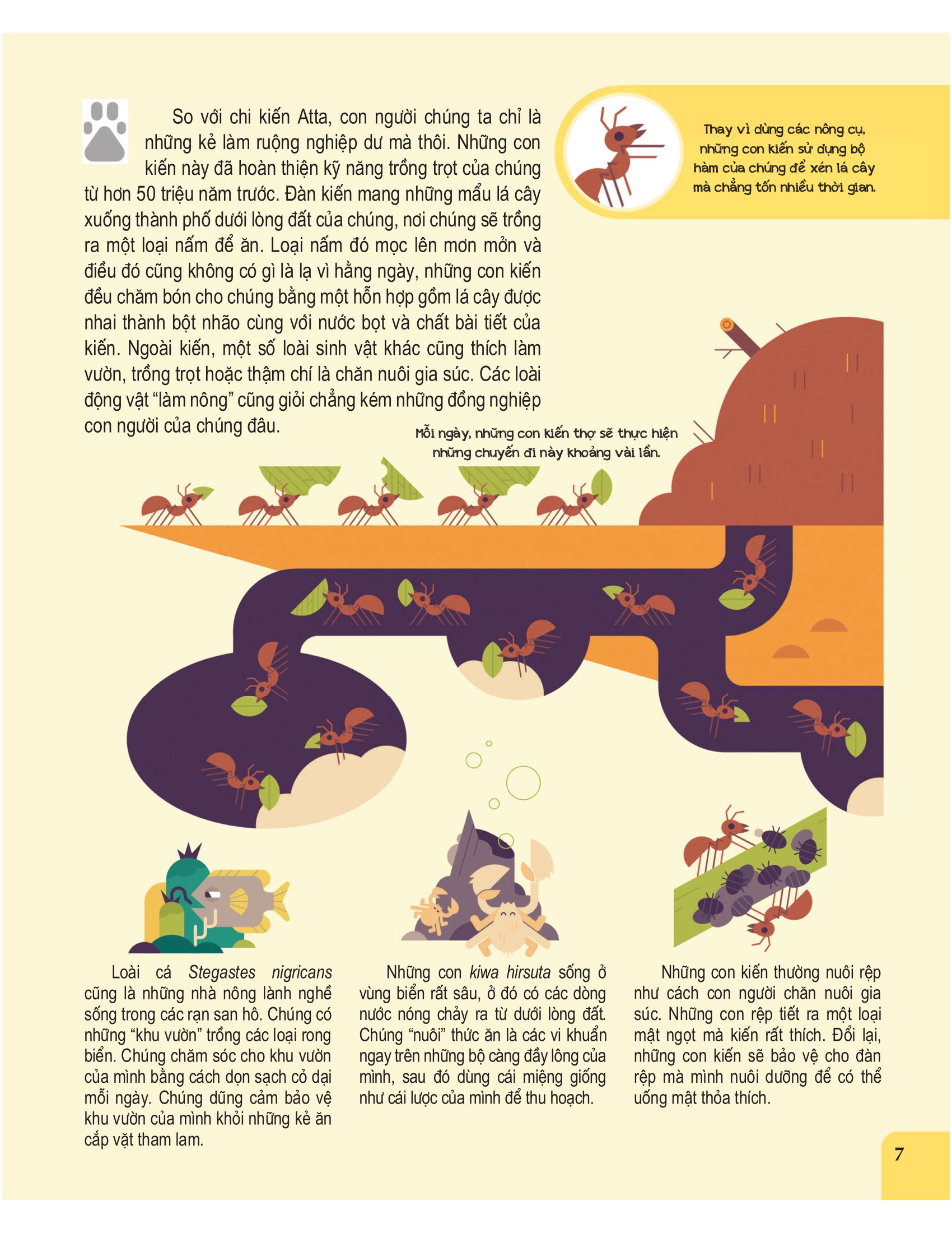 con người & động vật - những điểm tương đồng thú vị - Ảnh 7