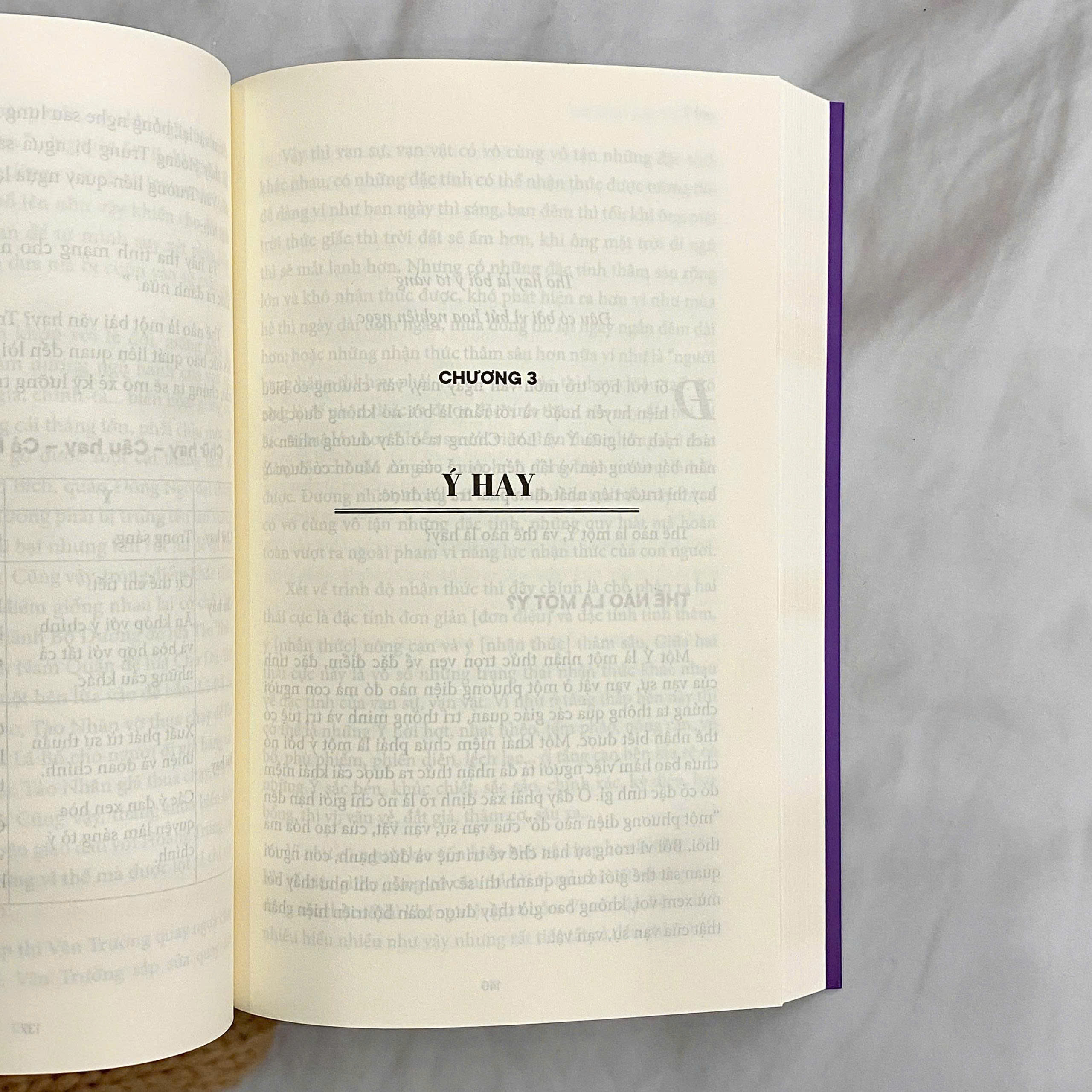 Con Nhà Văn - Cầm Bút - Ảnh 6