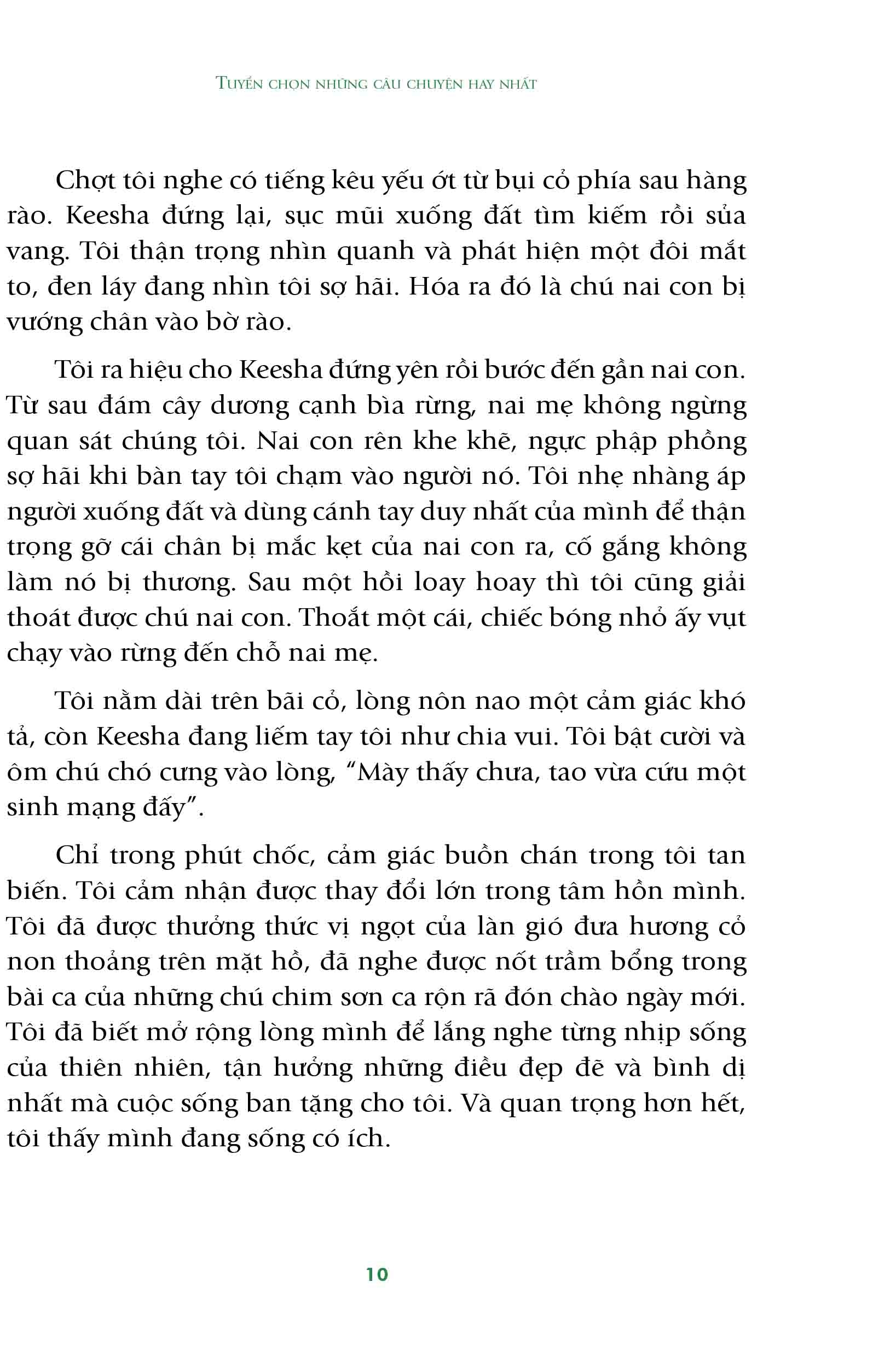 còn sống còn yêu thương - Ảnh 2
