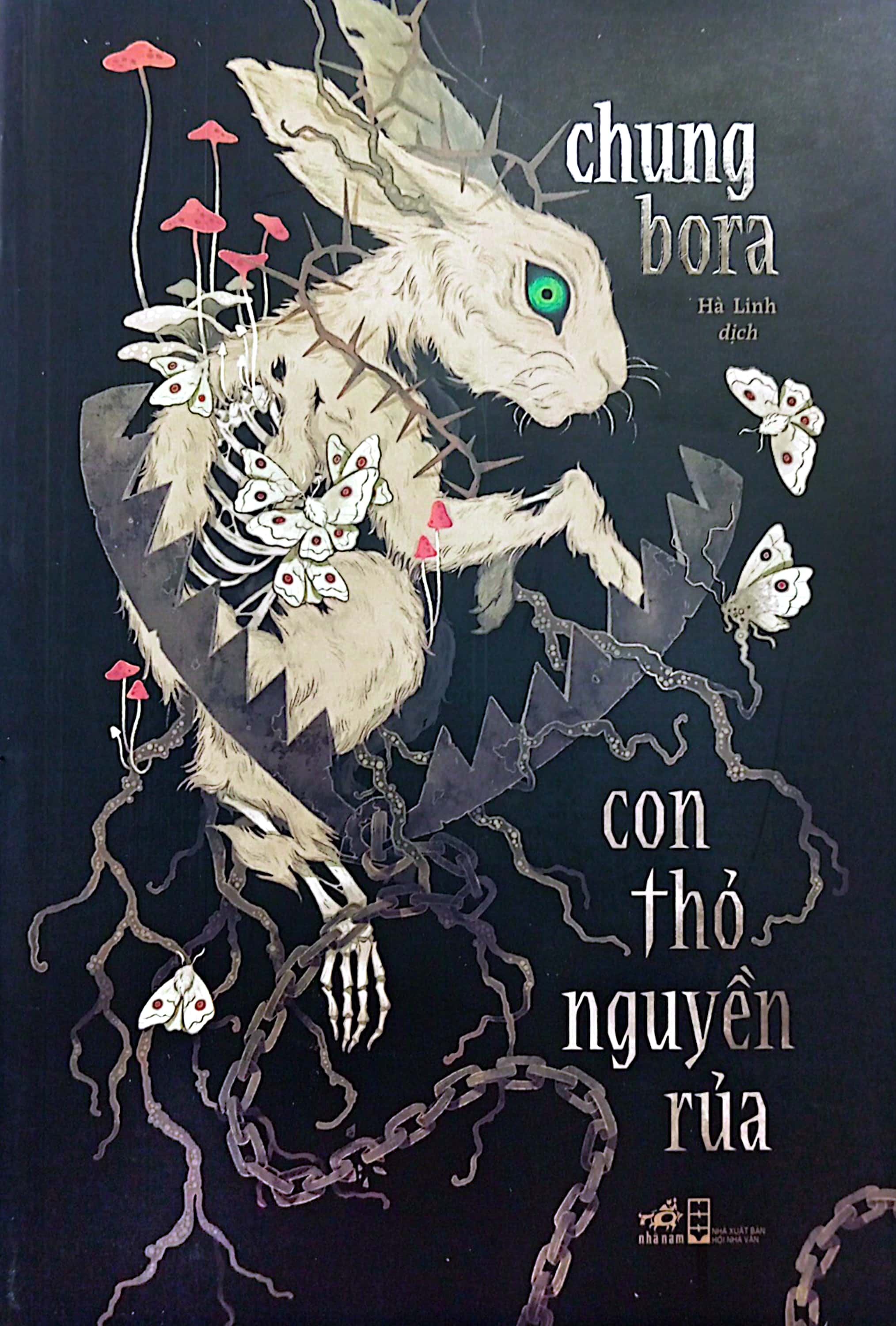 con thỏ nguyền rủa - Ảnh 2