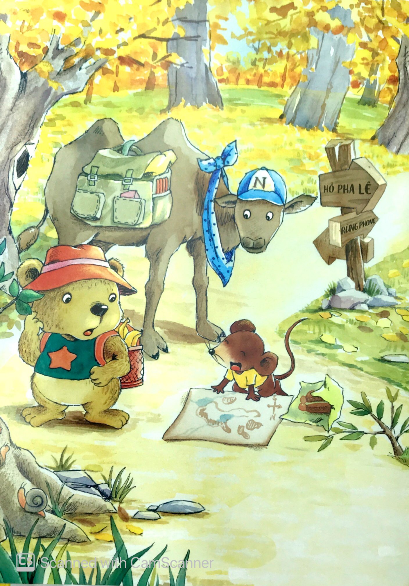 con thuyền sa mạc - Ảnh 5