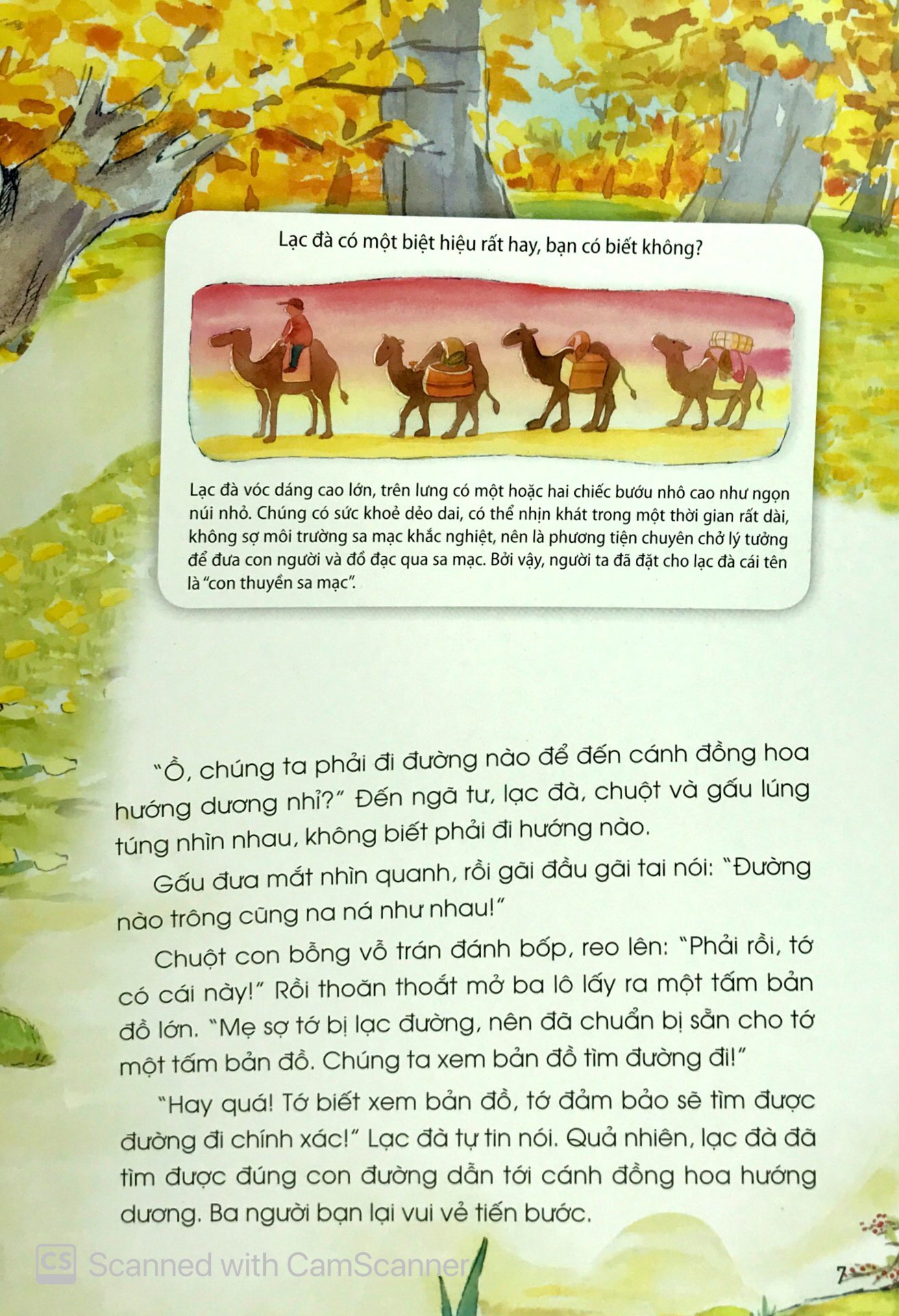 con thuyền sa mạc - Ảnh 6