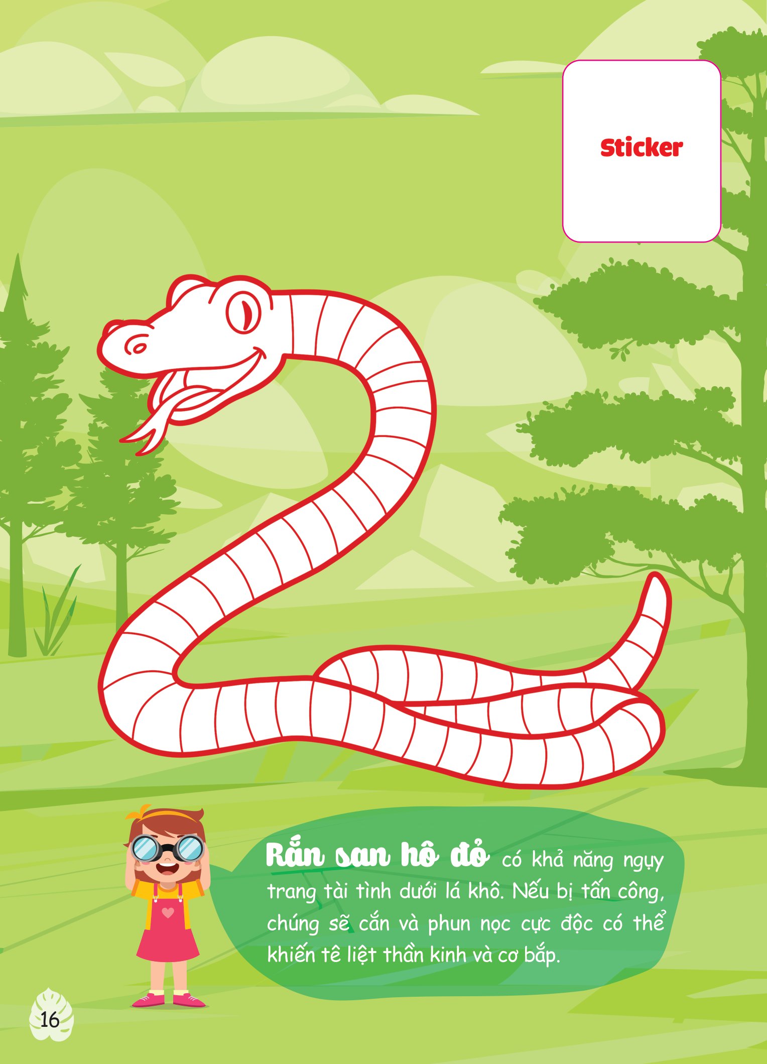 con tô màu - thám hiểm amazon - Ảnh 5