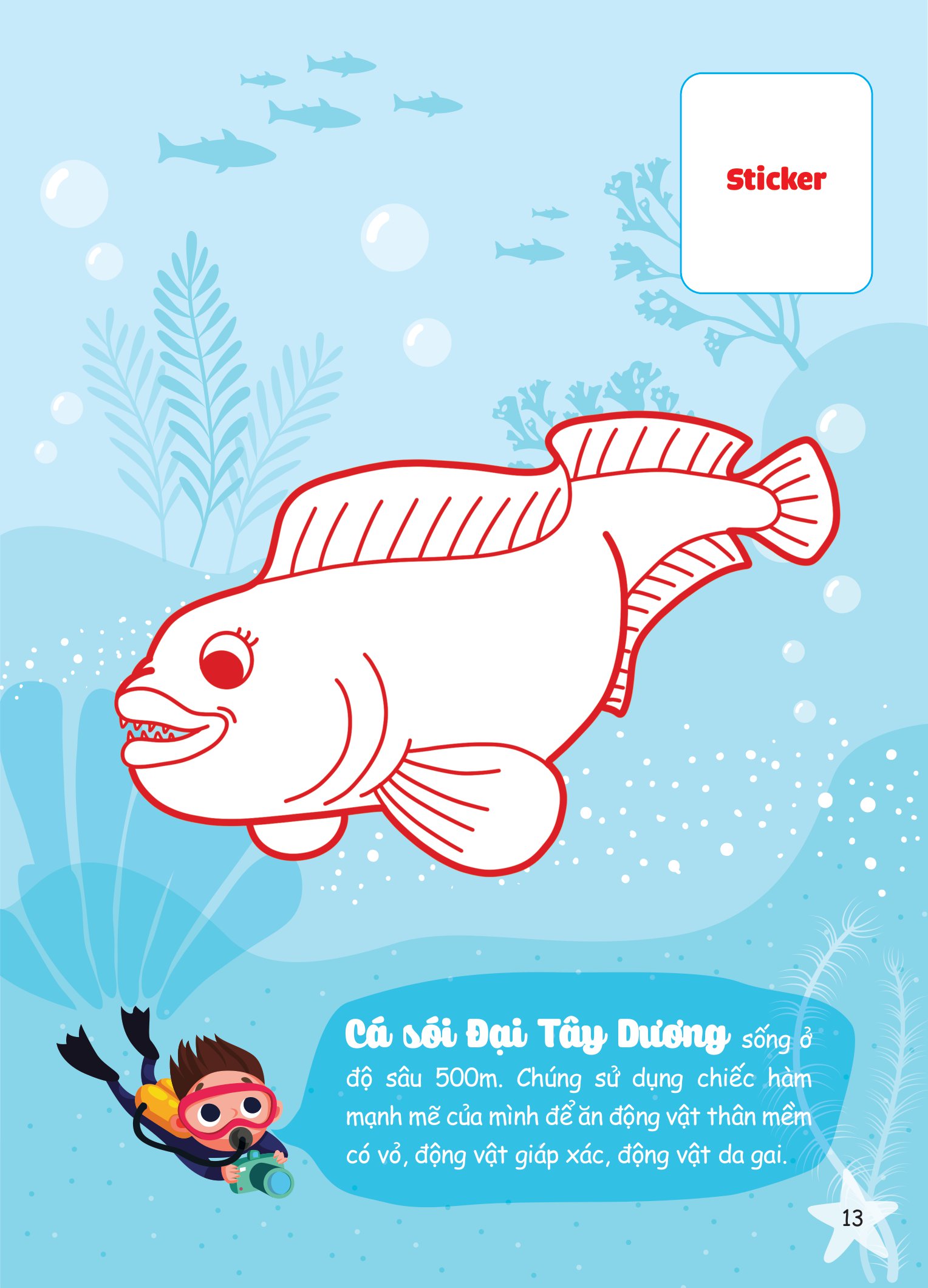 con tô màu - thám hiểm đáy biển sâu - Ảnh 4