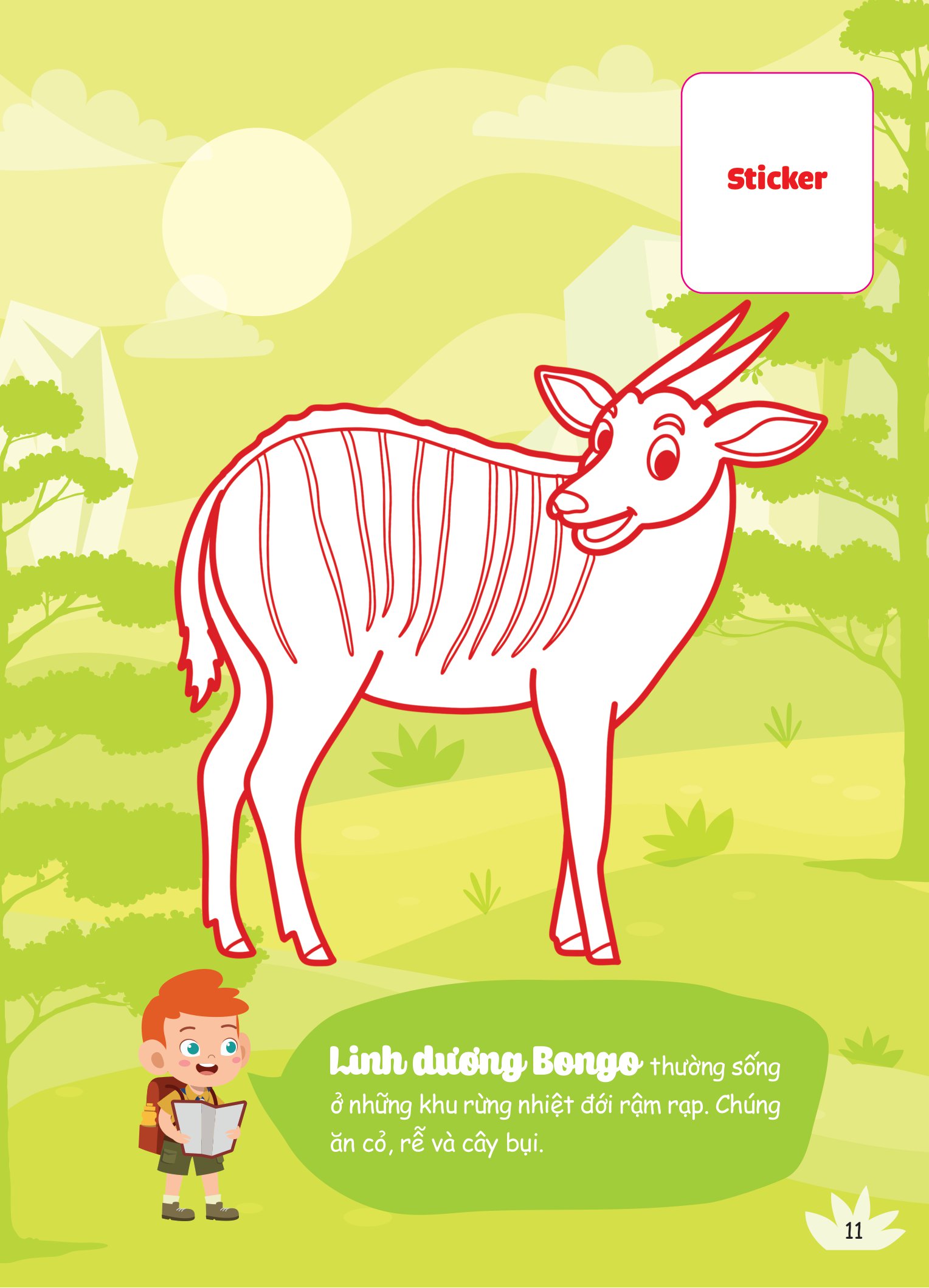 con tô màu - thám hiểm rừng nhiệt đới - Ảnh 5