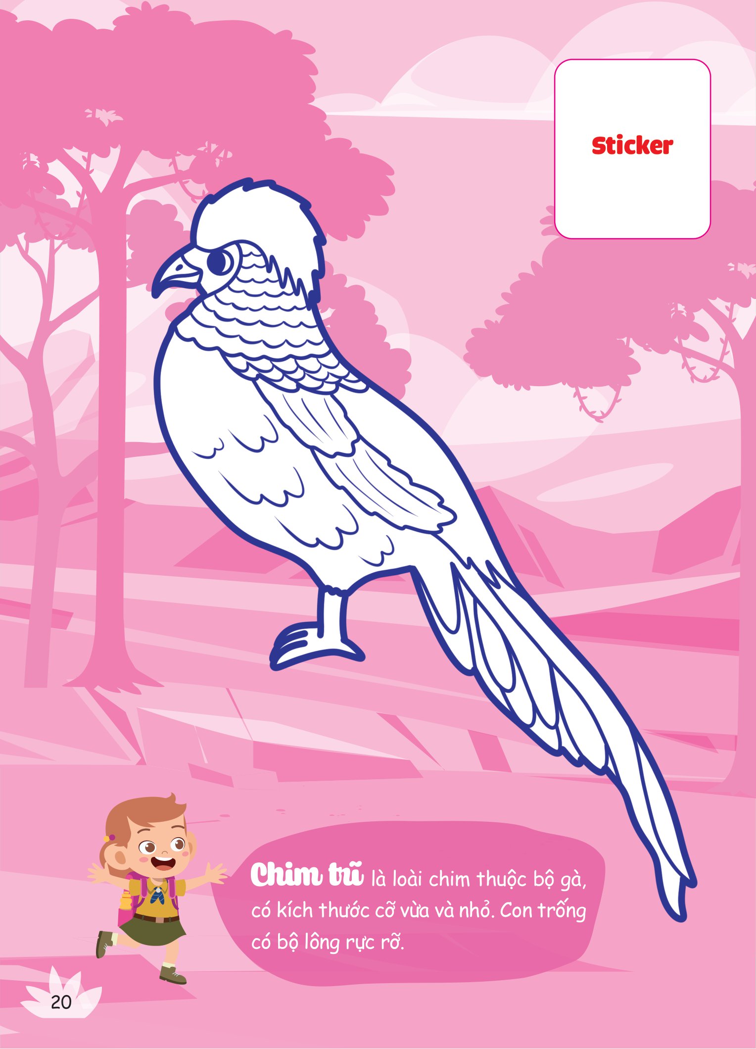 con tô màu - thám hiểm rừng nhiệt đới - Ảnh 6