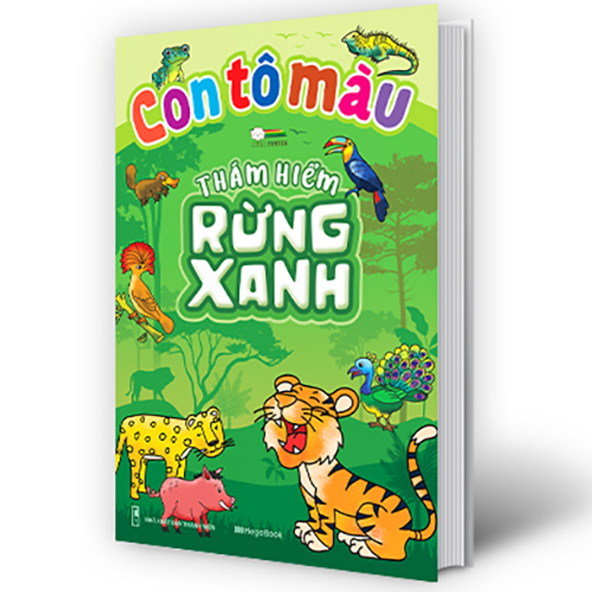 con tô màu - thám hiểm rừng xanh - Ảnh 6