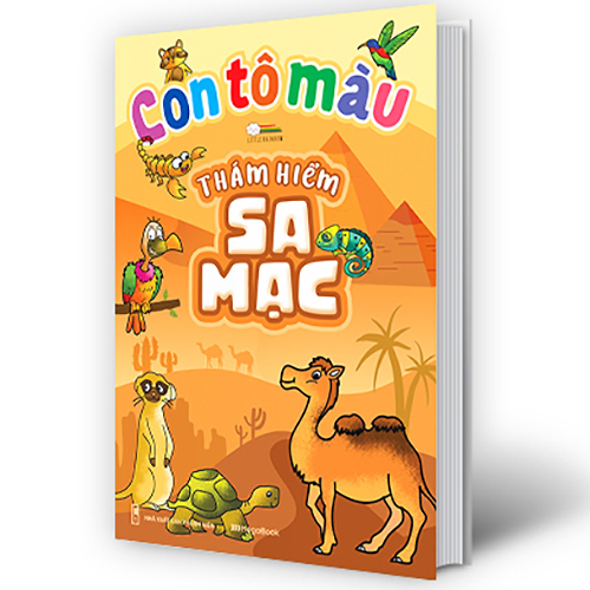 con tô màu - thám hiểm sa mạc - Ảnh 2