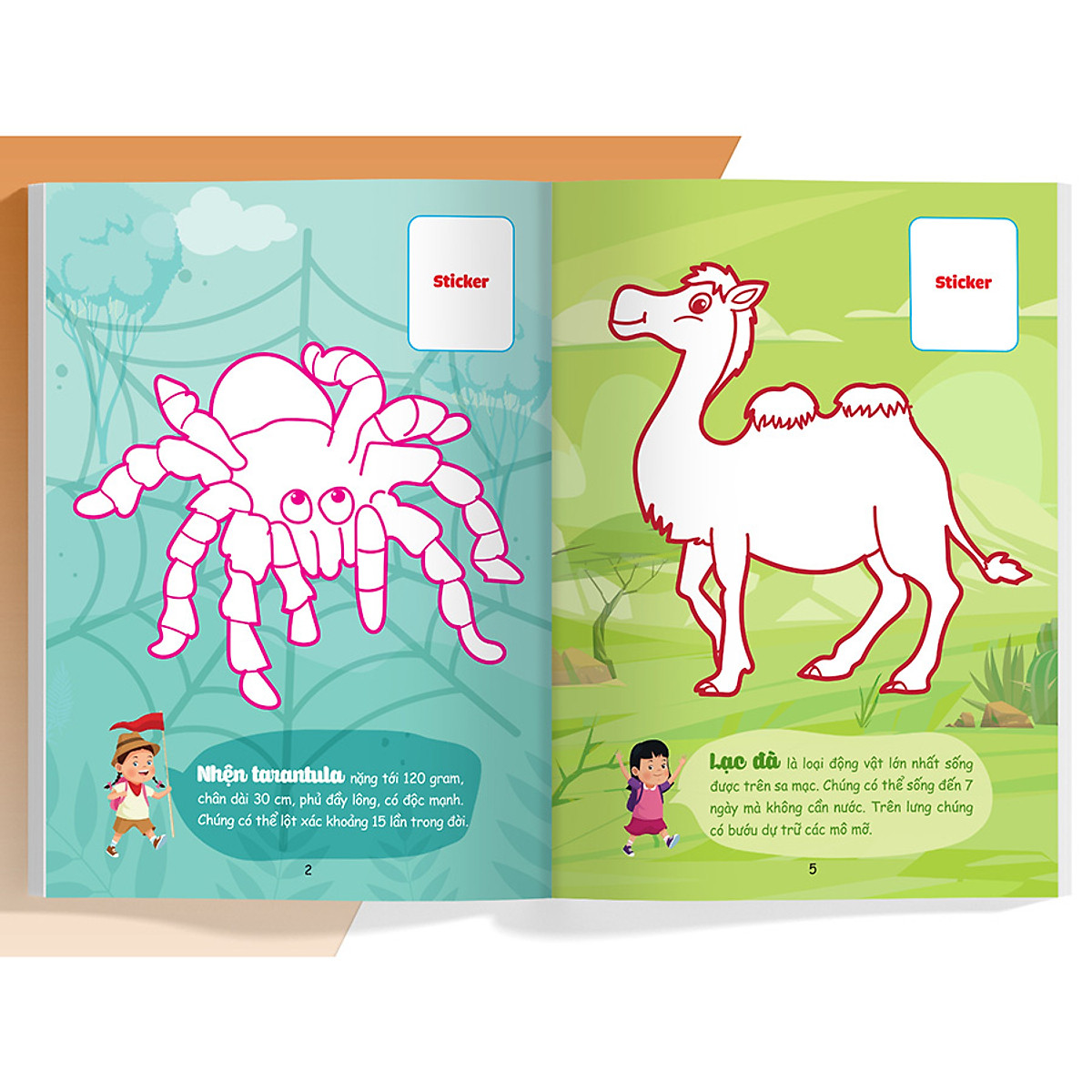 con tô màu - thám hiểm sa mạc - Ảnh 4