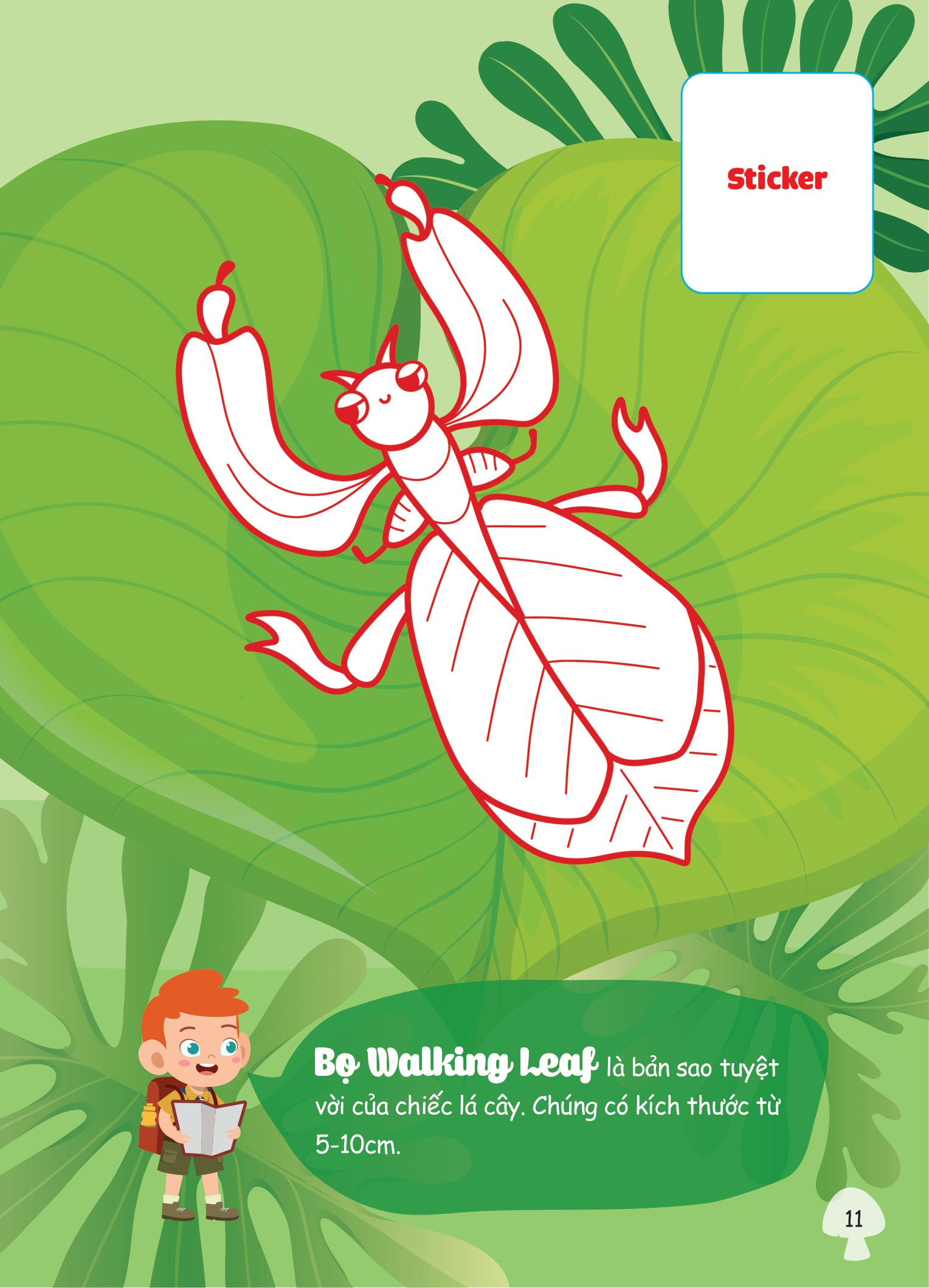 con tô màu - thám hiểm thế giới côn trùng - Ảnh 3