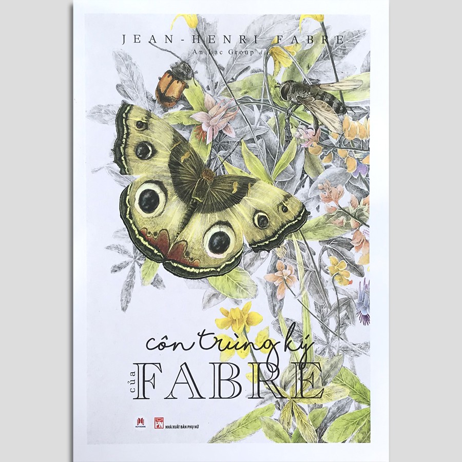 côn trùng ký của fabre - Ảnh 2