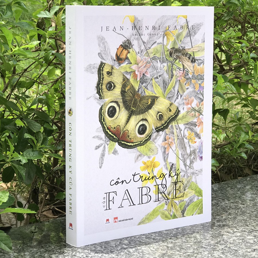 côn trùng ký của fabre - Ảnh 3