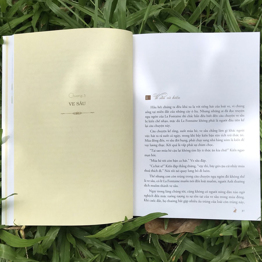 côn trùng ký của fabre - Ảnh 5