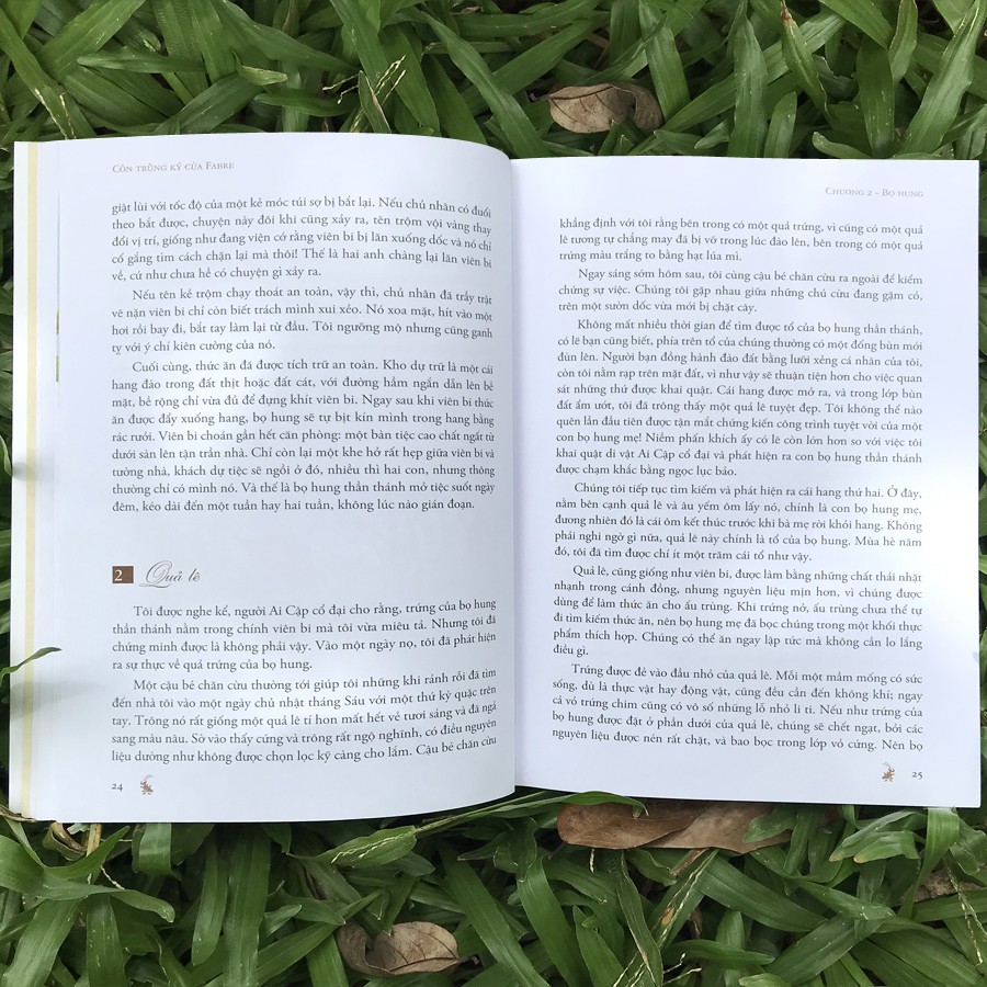 côn trùng ký của fabre - Ảnh 8