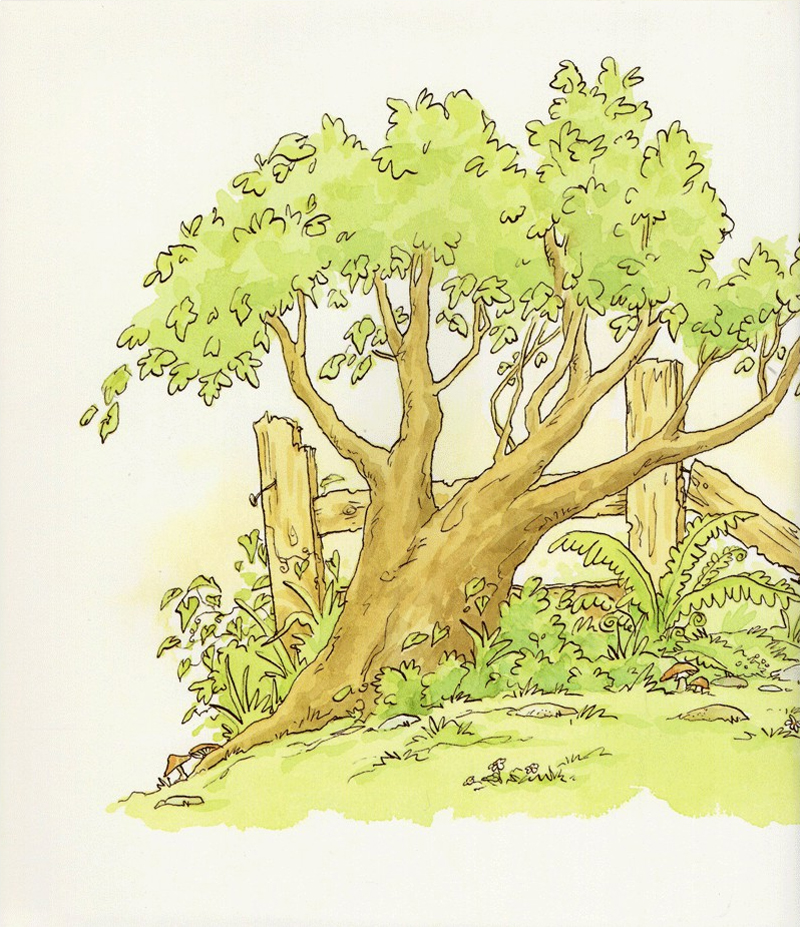 con yêu bố chừng nào (tái bản) - Ảnh 4