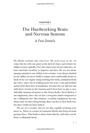 conceptual blockbusting: a guide to better ideas - Ảnh 6