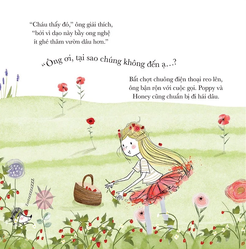 công chúa poppy - hãy bảo vệ loài ong! - Ảnh 5