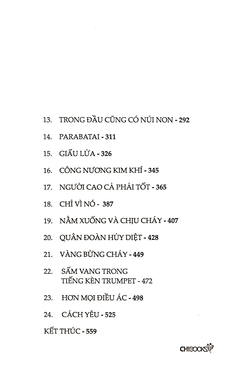 công nương xám (phần 3 series quân đoàn hủy diệt) - Ảnh 4