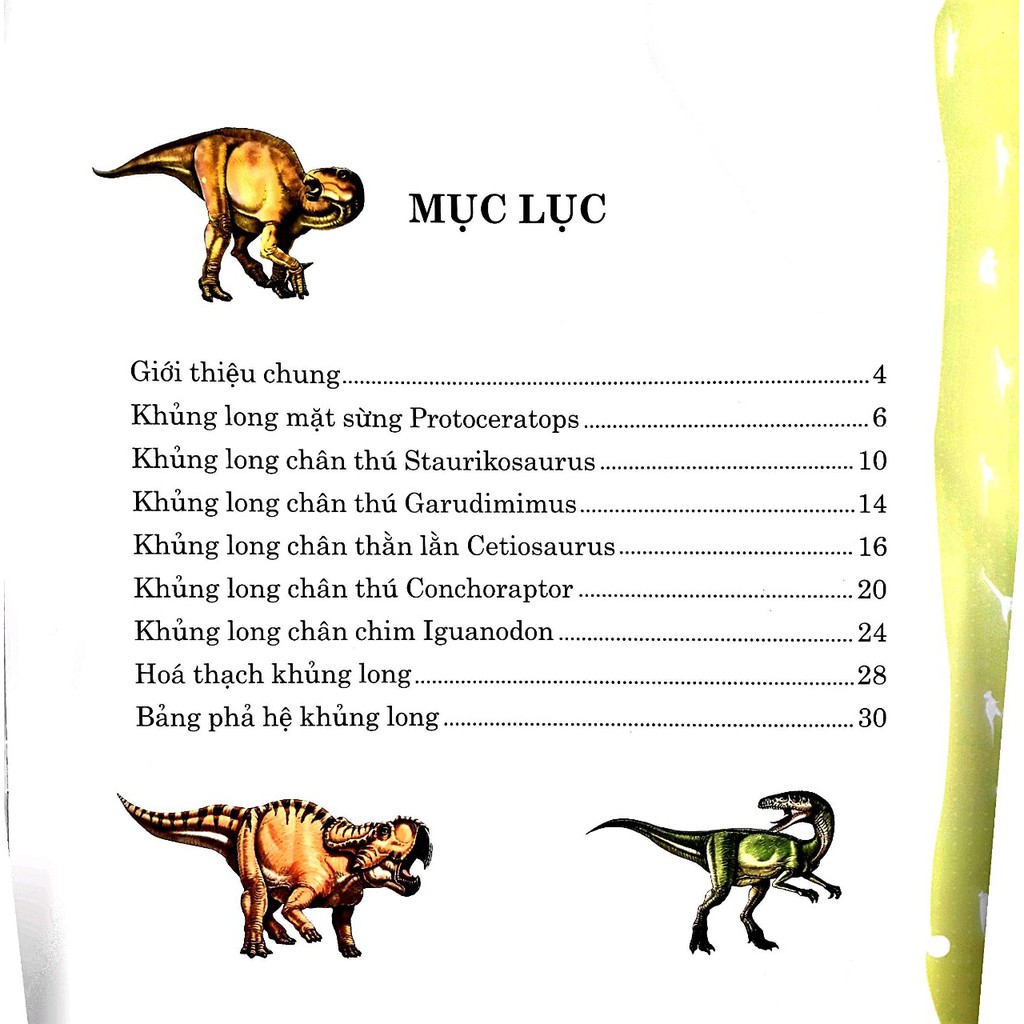 công viên khủng long - khủng long chân chim - jguanodon - Ảnh 3