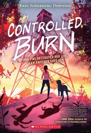 controlled burn - Ảnh 2