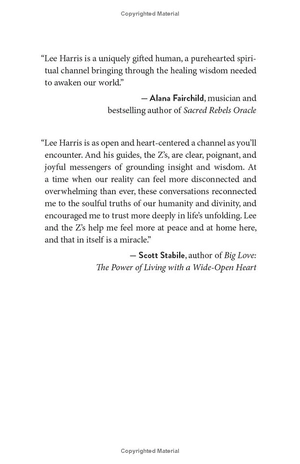 conversations with the z's, book one: the energetics of the new human soul - Ảnh 3