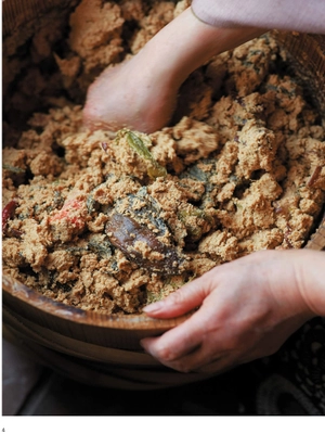 cooking with japanese pickles: 97 quick, classic and seasonal recipes - Ảnh 5