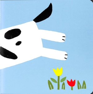 copy cats - can you bark like a dog? - Ảnh 6