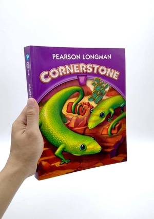 cornerstone 2013 student edition grade 3 - Ảnh 2