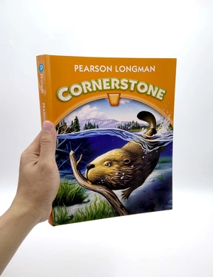 cornerstone 2013 student edition grade 4 - Ảnh 3
