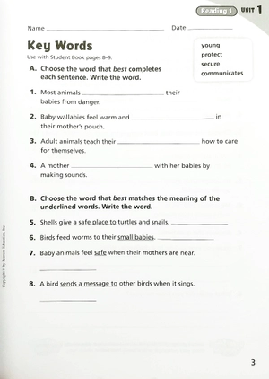 cornerstone 2013 workbook book grade 4 - Ảnh 4