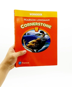 cornerstone 2013 workbook book grade 4 - Ảnh 7