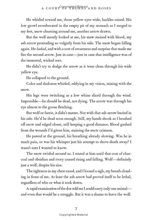 court of thorns and roses collector's edition - Ảnh 8