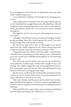 crescent city - book 2 - house of sky and breath - Ảnh 13