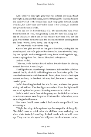 crescent city - book 2 - house of sky and breath - Ảnh 14