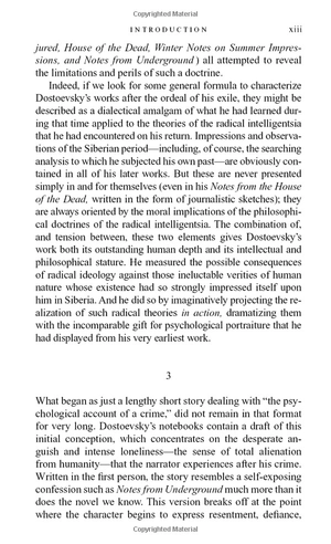 crime and punishment - Ảnh 7