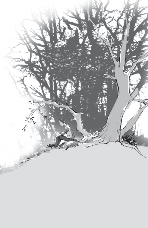 crying in trees - Ảnh 7