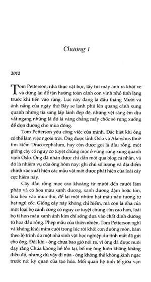 cú săn đêm - Ảnh 3