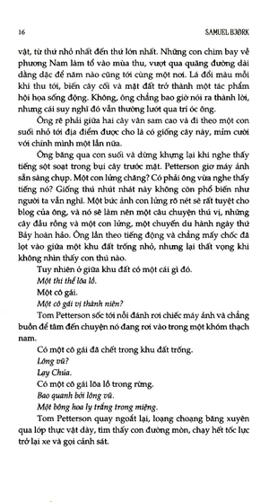 cú săn đêm - Ảnh 4