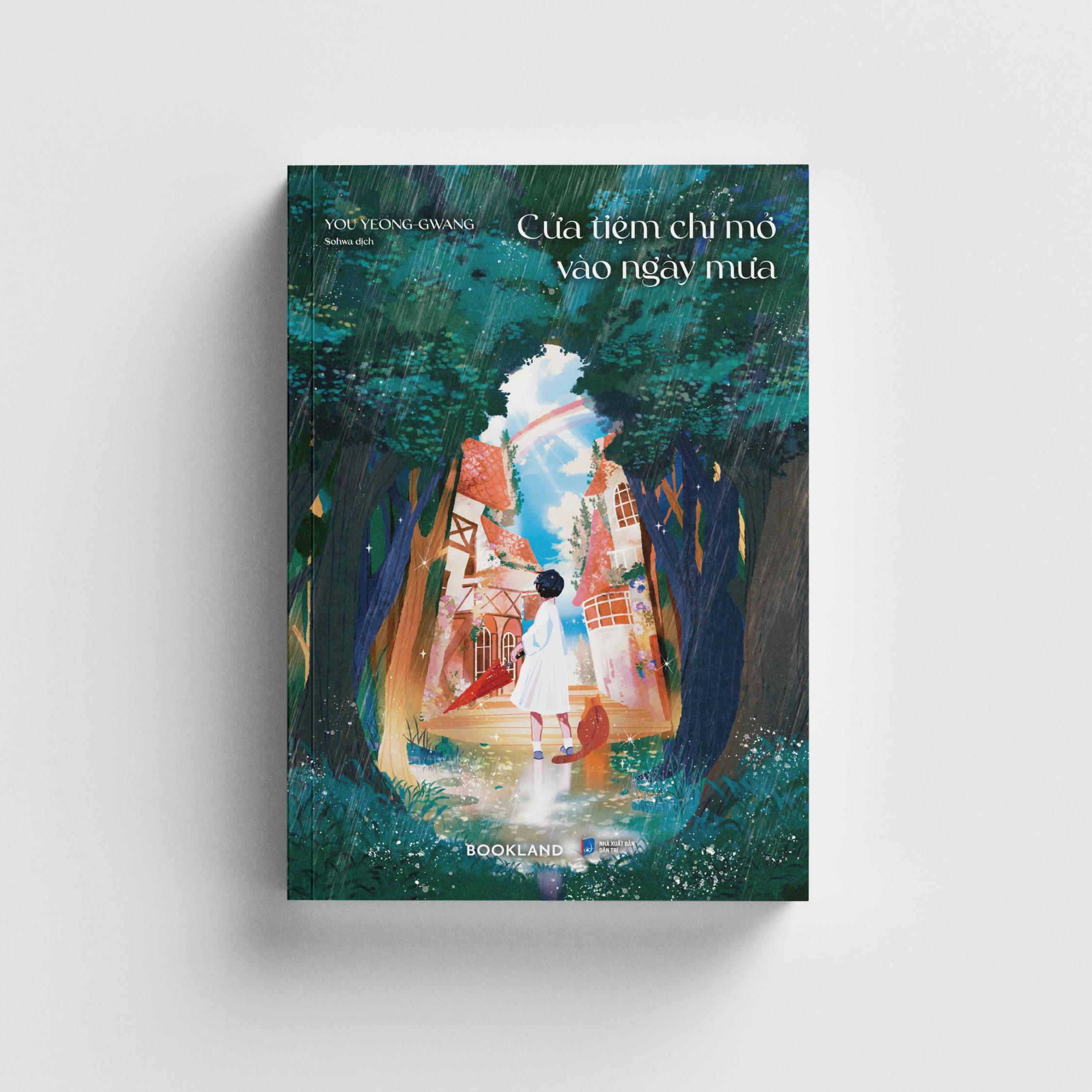 cửa tiệm chỉ mở vào ngày mưa - Ảnh 3