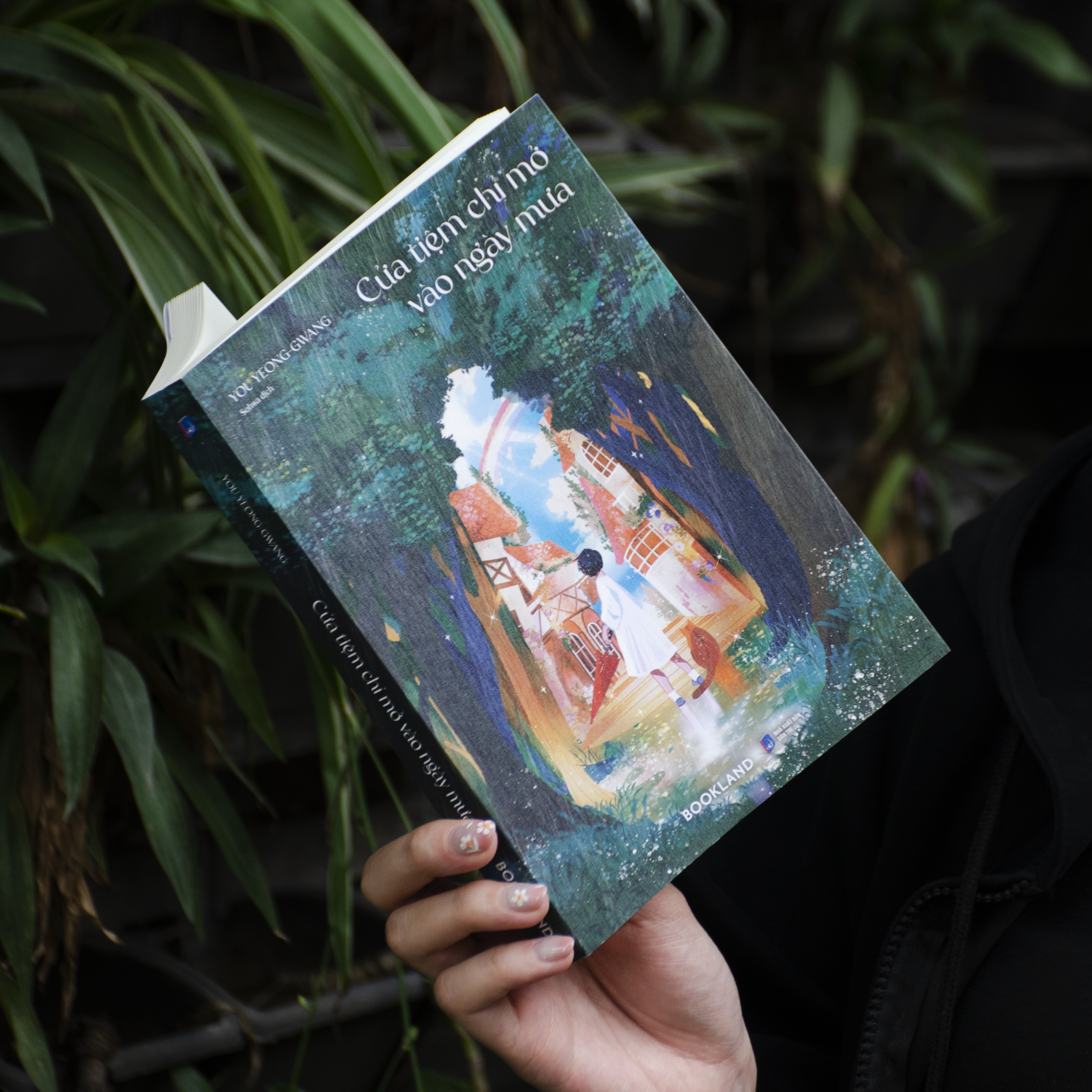 cửa tiệm chỉ mở vào ngày mưa - Ảnh 4