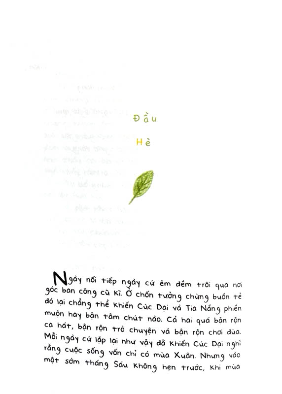 cúc dại và tia nắng - Ảnh 4