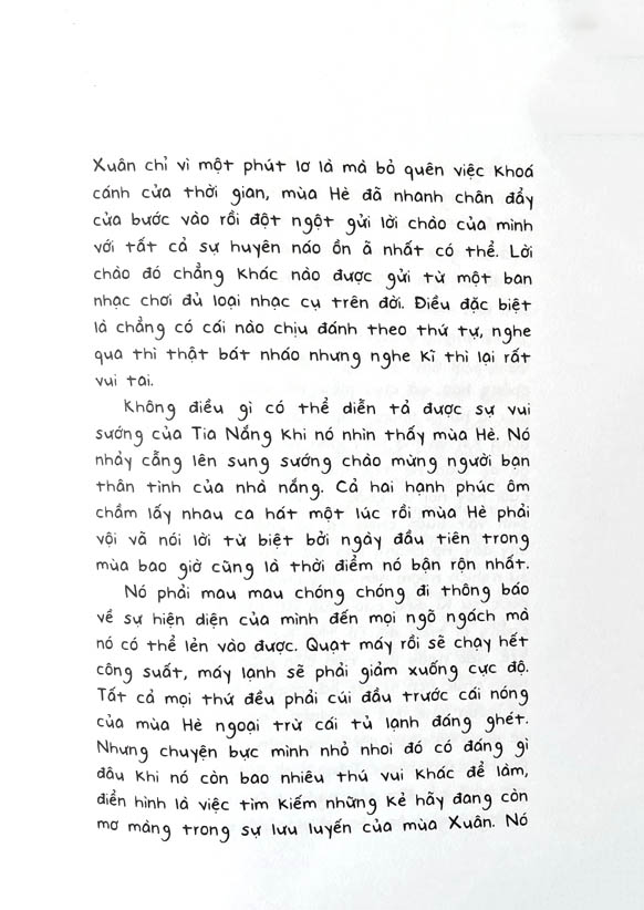 cúc dại và tia nắng - Ảnh 5