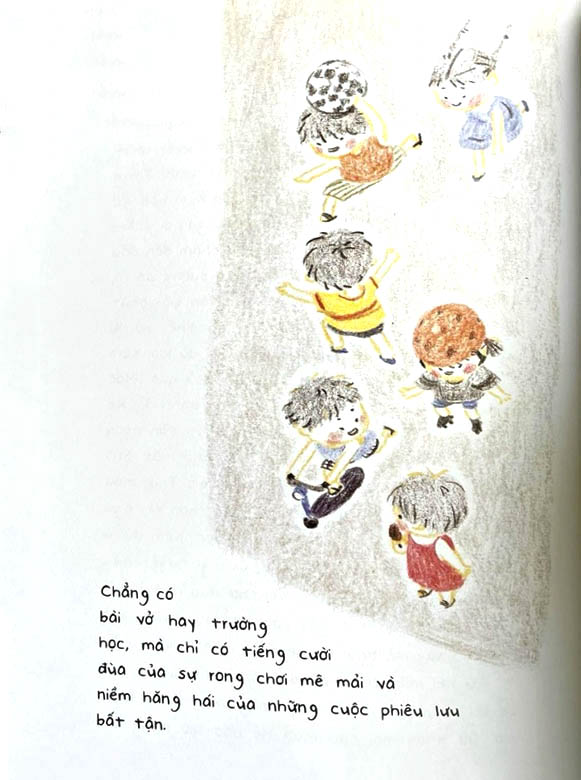 cúc dại và tia nắng - Ảnh 7