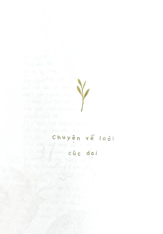 cúc dại và tia nắng - Ảnh 8