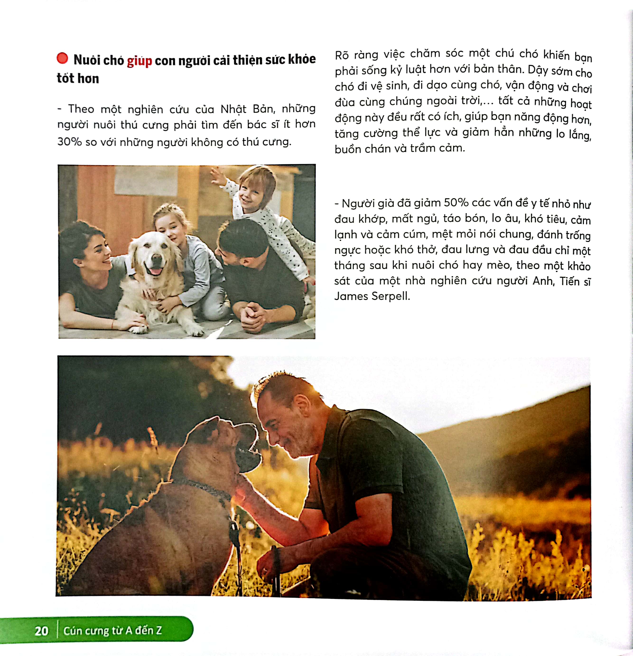 cún cưng a đến z - những bí quyết giúp cún cưng khỏe mạnh và hạnh phúc - Ảnh 6