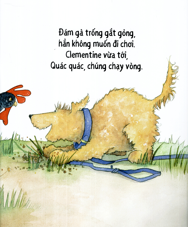 cún cưng đi dạo - những bài ca gia đình ấm áp - Ảnh 17