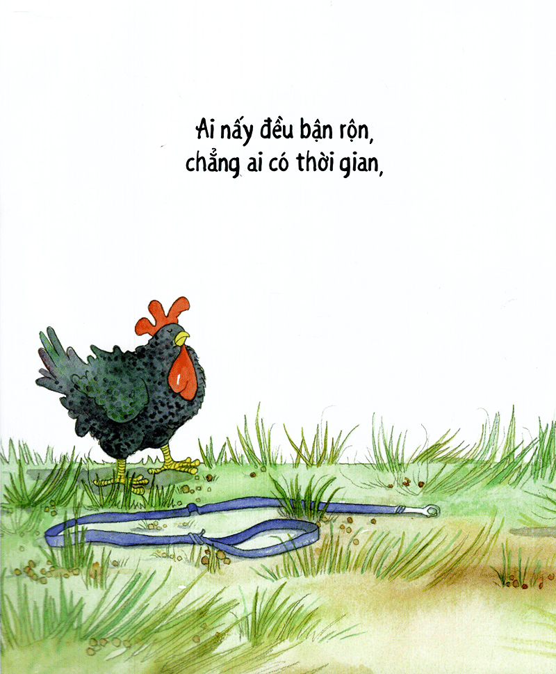 cún cưng đi dạo - những bài ca gia đình ấm áp - Ảnh 18