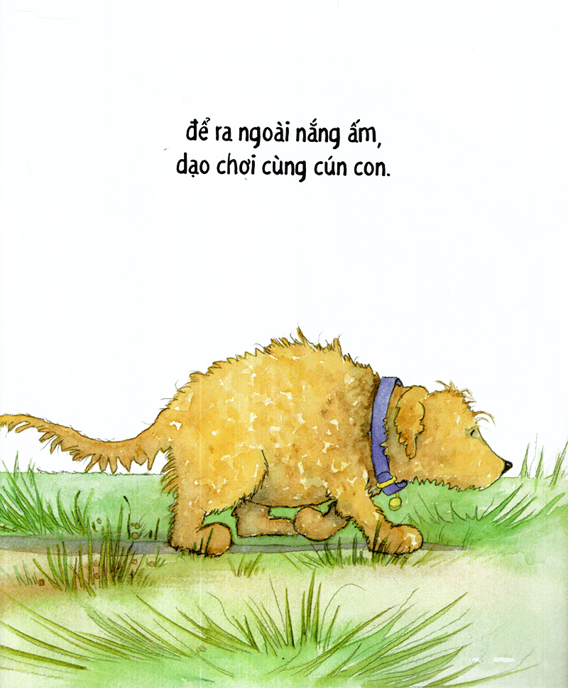 cún cưng đi dạo - những bài ca gia đình ấm áp - Ảnh 19