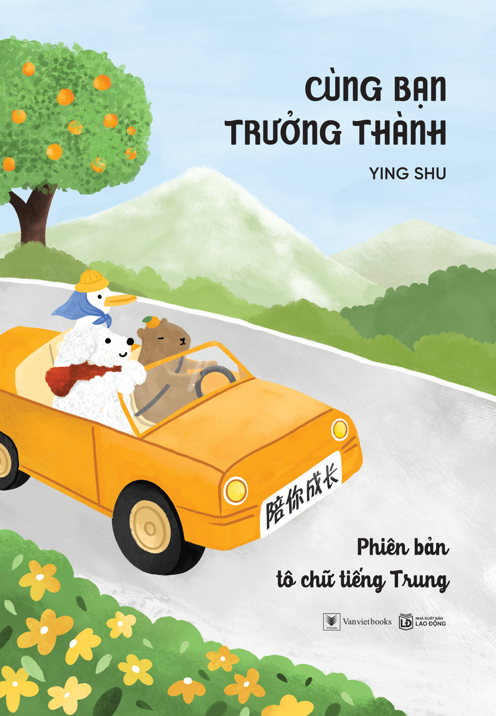 cùng bạn trưởng thành - phiên bản tô chữ tiếng trung - Ảnh 2